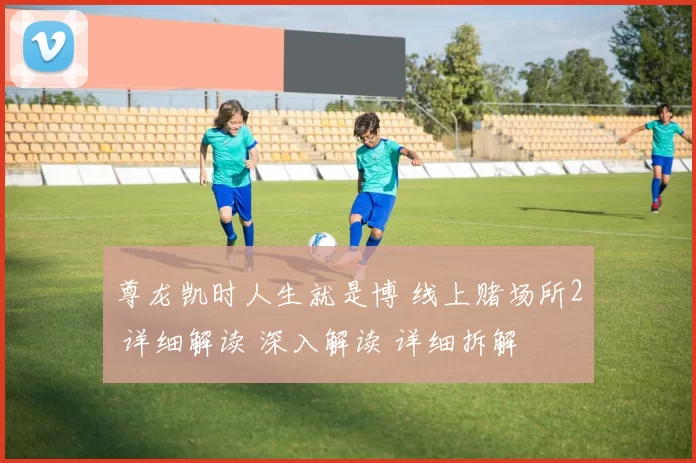 尊龙凯时人生就是博 线上赌场所2 详细解读 深入解读 详细拆解
