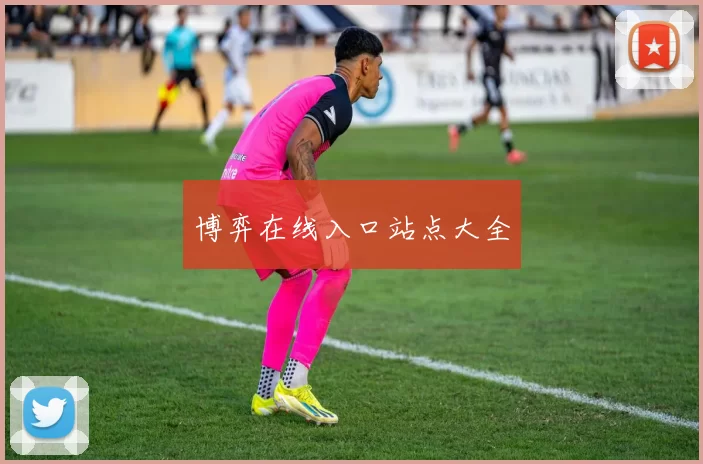 博弈在线入口站点大全