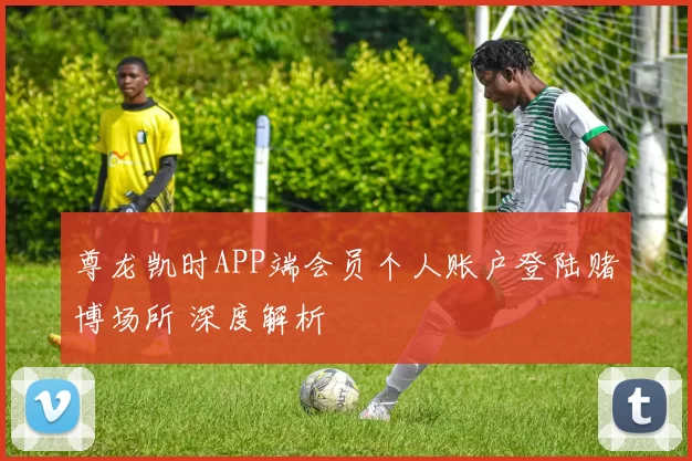 尊龙凯时APP端会员个人账户登陆赌博场所 深度解析