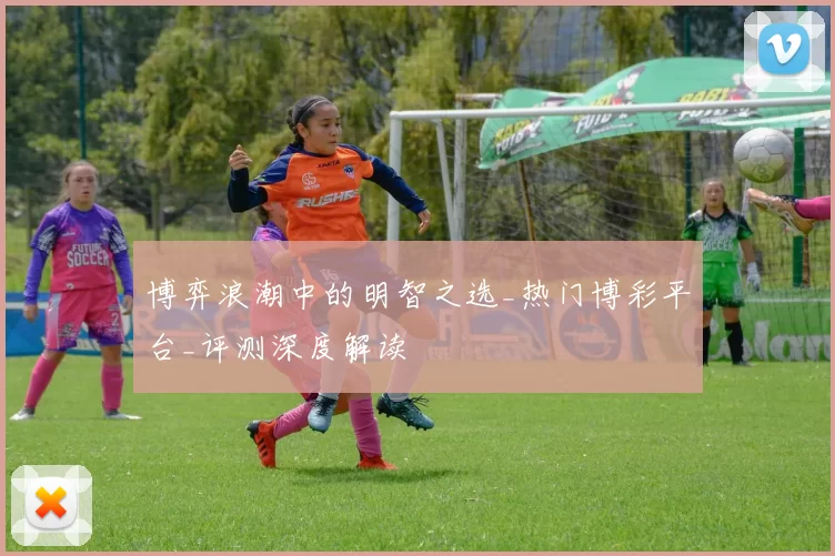 博弈浪潮中的明智之选_热门博彩平台_评测深度解读