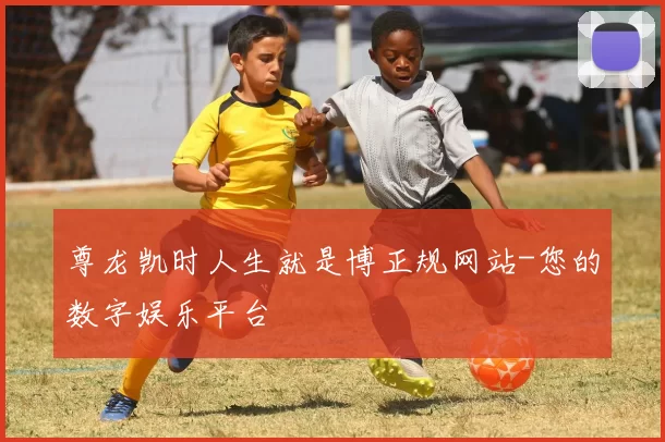 尊龙凯时人生就是博正规网站-您的数字娱乐平台