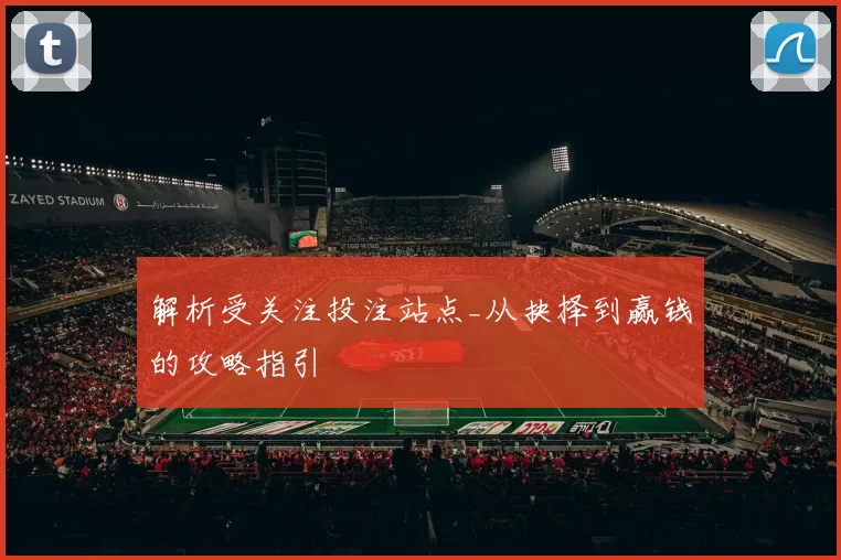 解析受关注投注站点_从抉择到赢钱的攻略指引