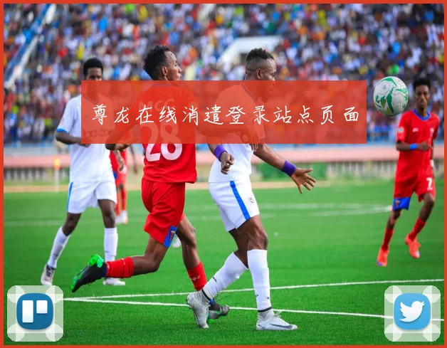 尊龙在线消遣登录站点页面