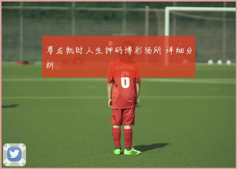 尊龙凯时人生押码博彩场所 详细分析