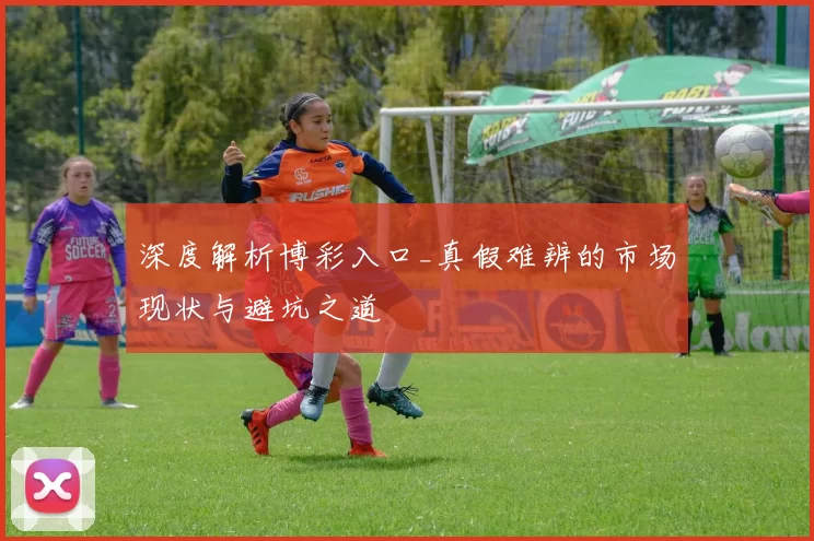 深度解析博彩入口_真假难辨的市场现状与避坑之道