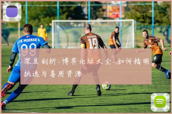 深度剖析_博弈论坛大全_如何精明挑选与善用资源