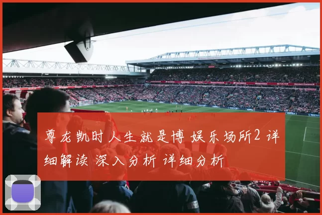 尊龙凯时人生就是博 娱乐场所2 详细解读 深入分析 详细分析