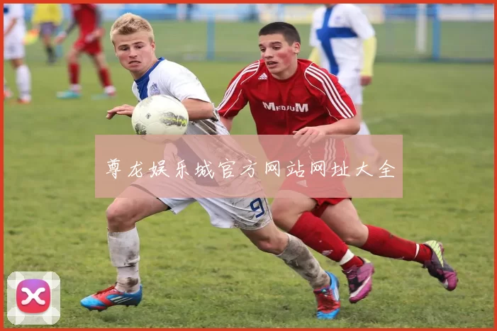 尊龙娱乐城官方网站网址大全