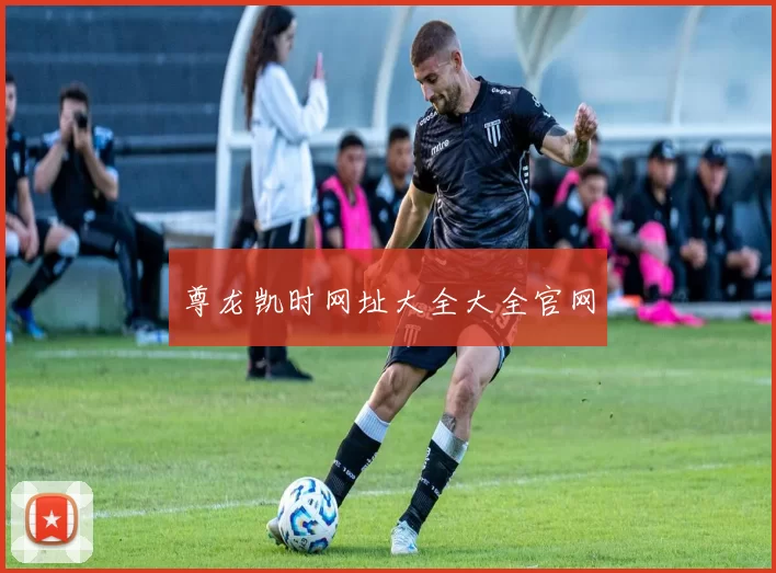 尊龙凯时网址大全大全官网