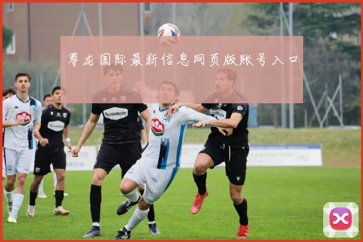 尊龙国际最新信息网页版账号入口