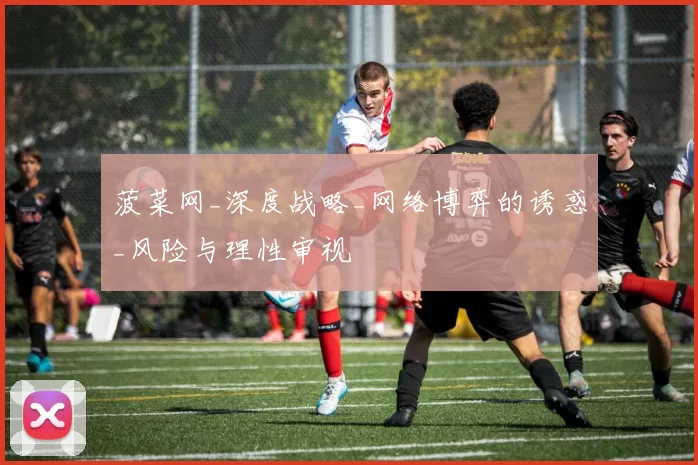 菠菜网_深度战略_网络博弈的诱惑_风险与理性审视