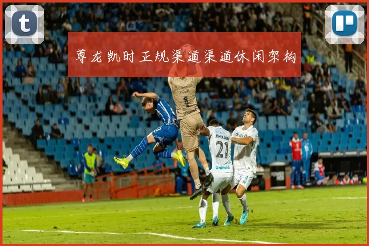 尊龙凯时正规渠道渠道休闲架构