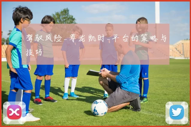 驾驭风险_尊龙凯时_平台的策略与技巧