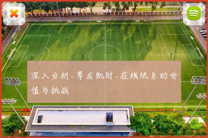 深入分析_尊龙凯时_在线玩乐的价值与挑战