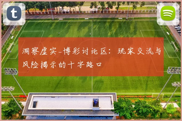 洞察虚实_博彩讨论区：玩家交流与风险揭示的十字路口