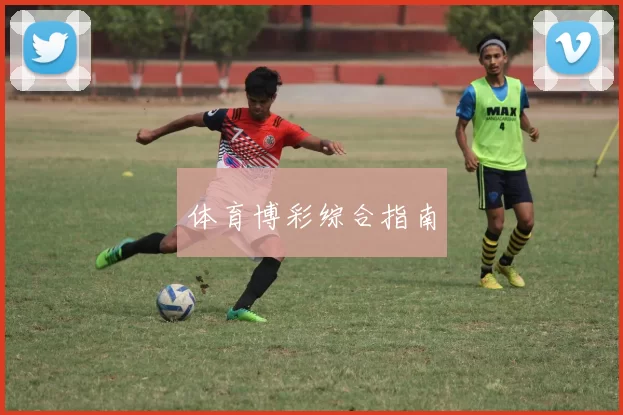 体育博彩综合指南