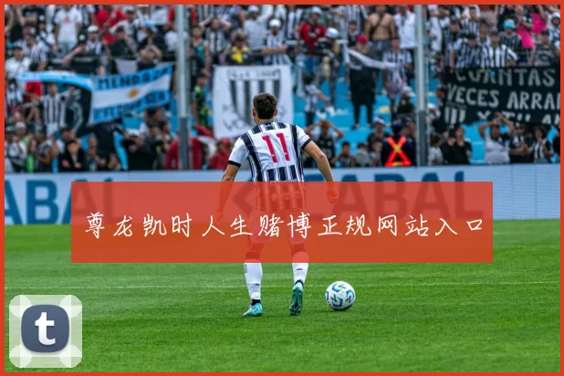 尊龙凯时人生赌博正规网站入口