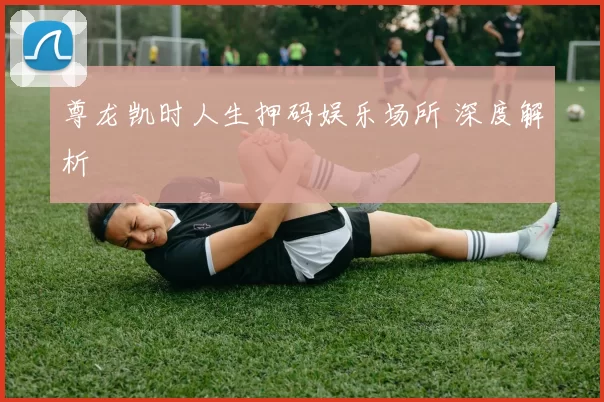 尊龙凯时人生押码娱乐场所 深度解析