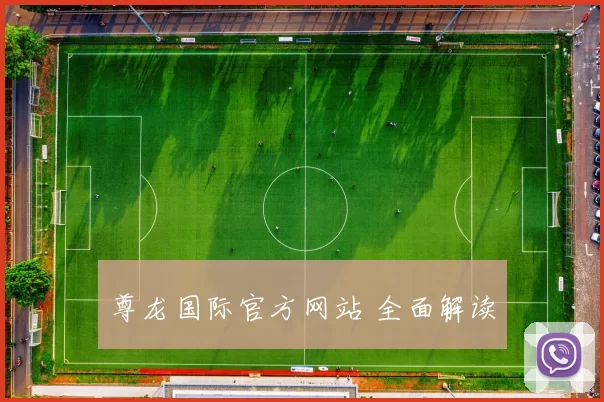 尊龙国际官方网站 全面解读