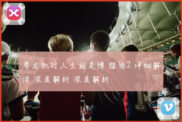 尊龙凯时人生就是博 赌场2 详细解读 深度解析 深度解析