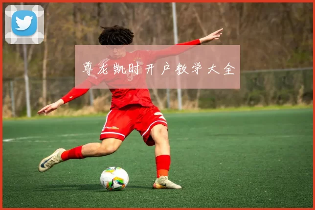 尊龙凯时开户教学大全