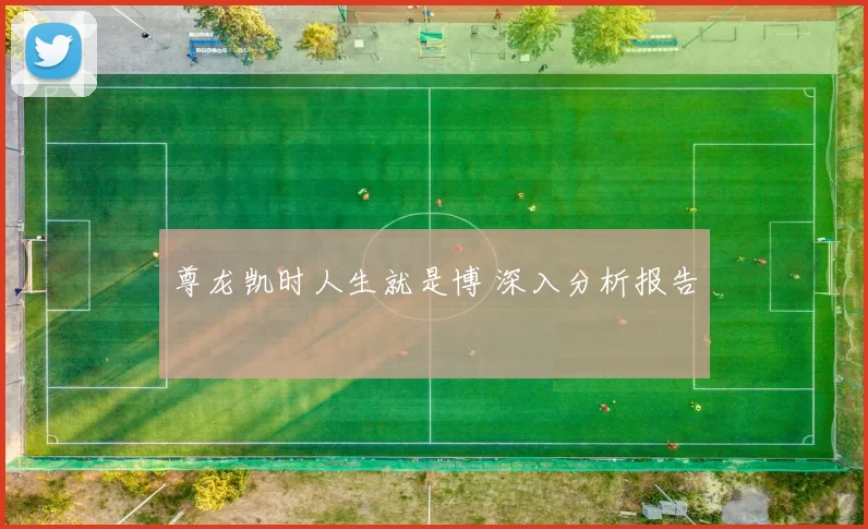 尊龙凯时人生就是博 深入分析报告