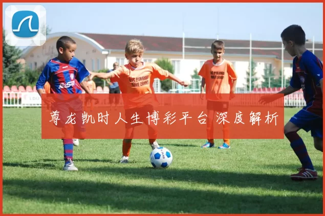 尊龙凯时人生博彩平台 深度解析