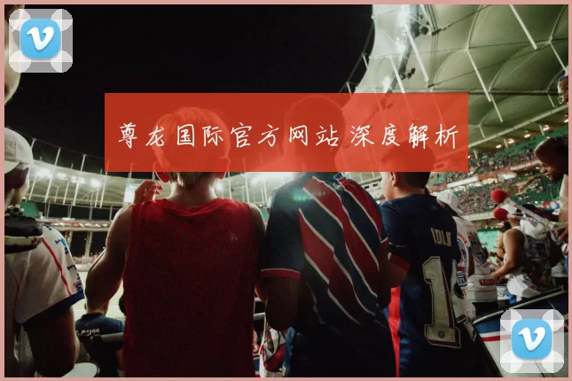 尊龙国际官方网站 深度解析