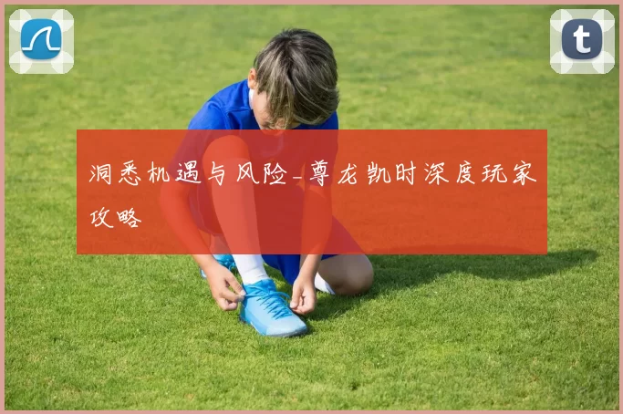 洞悉机遇与风险_尊龙凯时深度玩家攻略