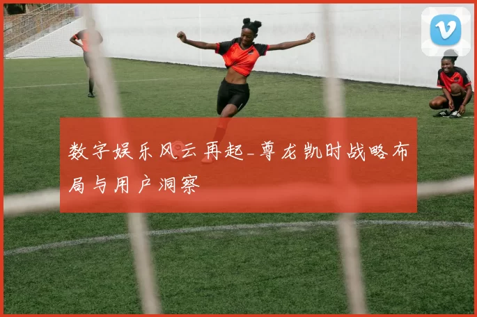 数字娱乐风云再起_尊龙凯时战略布局与用户洞察
