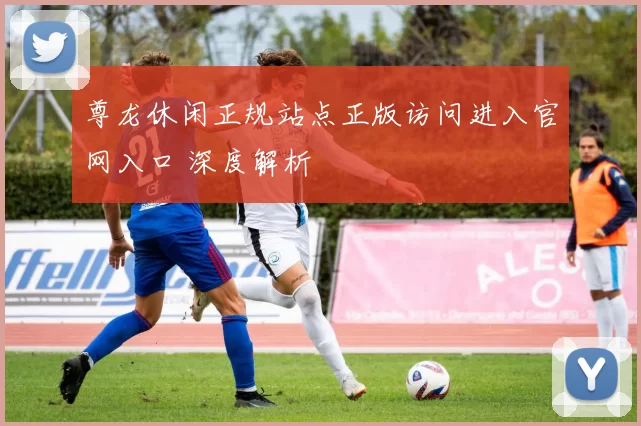 尊龙休闲正规站点正版访问进入官网入口 深度解析