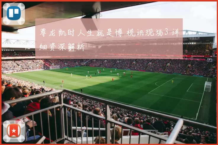 尊龙凯时人生就是博 视讯现场3 详细资深解析