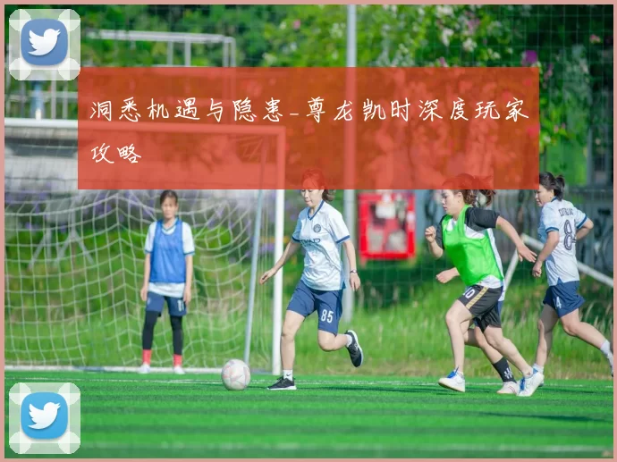 洞悉机遇与隐患_尊龙凯时深度玩家攻略