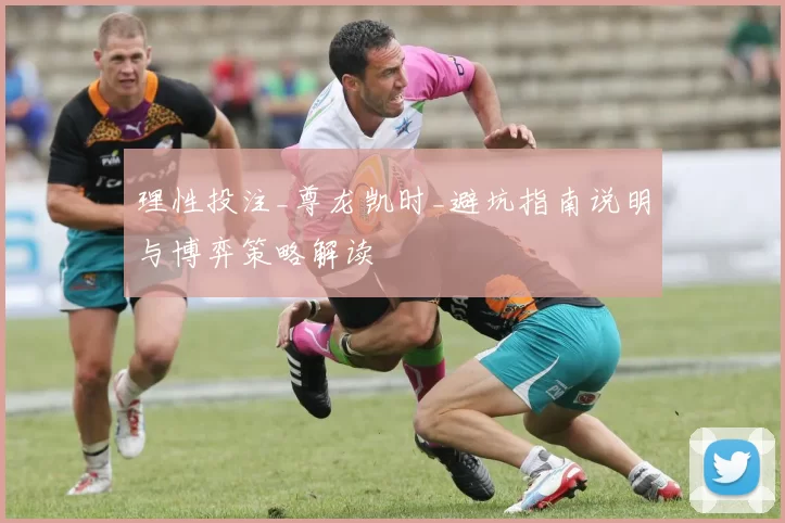 理性投注_尊龙凯时_避坑指南说明与博弈策略解读