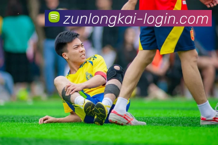 尊龙凯时人生就是搏服务体系